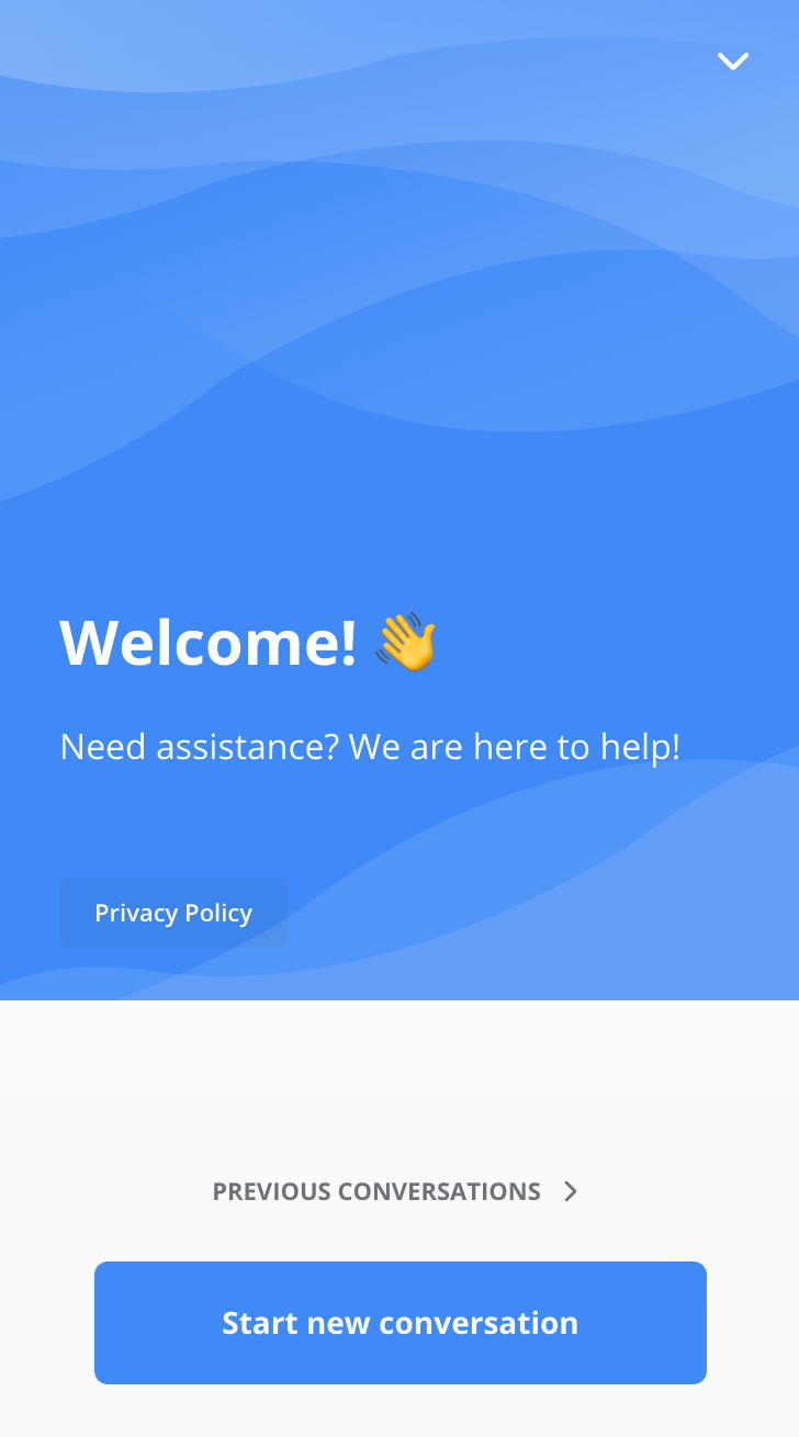 Screenshot of the Website Messenger